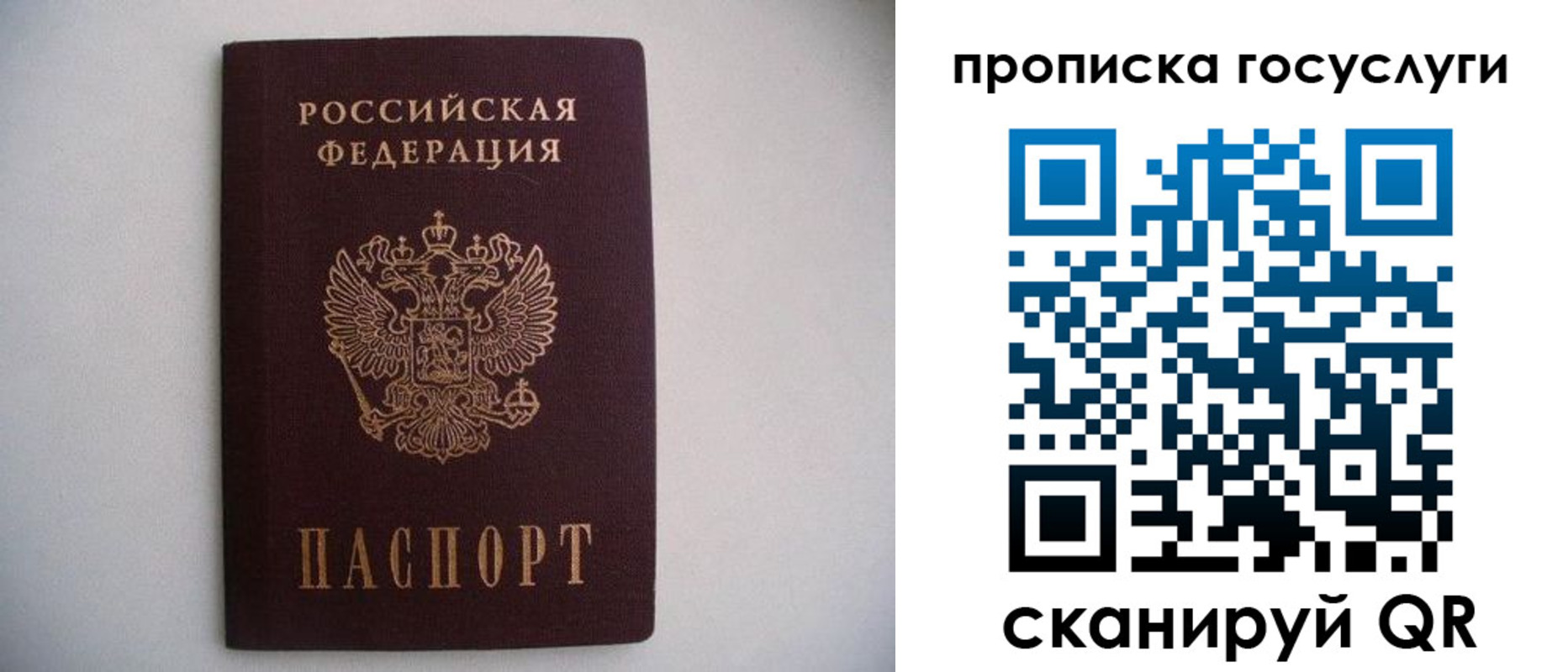 прописка в квартире в Россоши